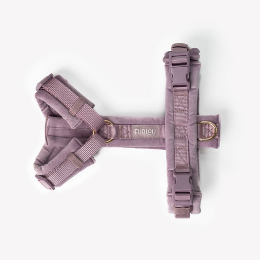 Lilac - Velvet Dog Harness | Purrfect Pet Kingdom