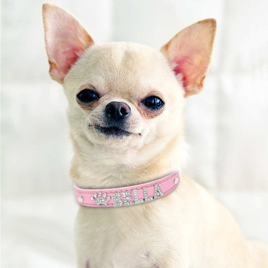 Personalized Cat Collar Rhinestone Puppy Small Dogs Collars............. | Purrfect Pet Kingdom