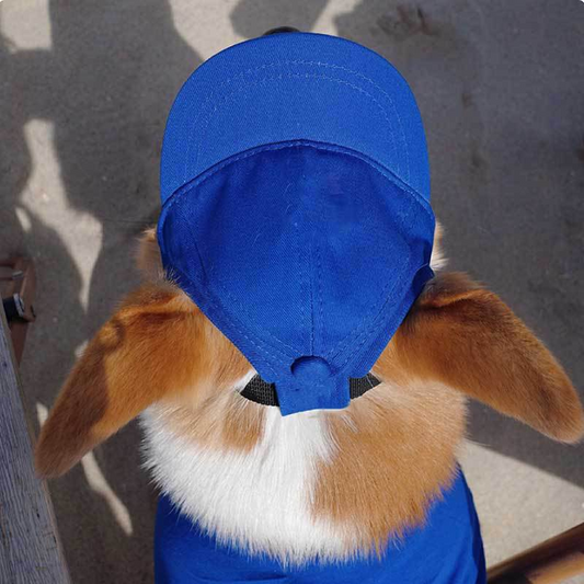 pet-dog-outdoor-photography-leisure-sunshade-hat-with-ear-holes-adjustable-corgi-baseball-cap-luxury-view-1 | Majestic Pet Kingdom
