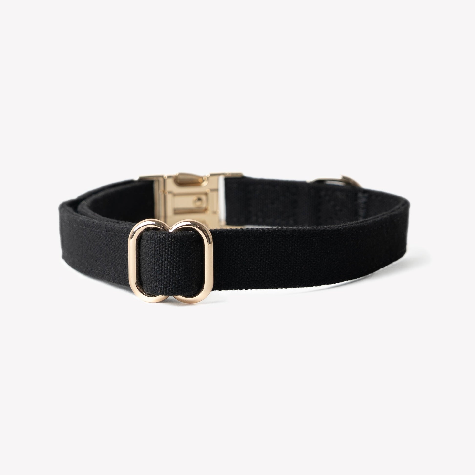 'Black' - Canvas Dog Collar | Purrfect Pet Kingdom