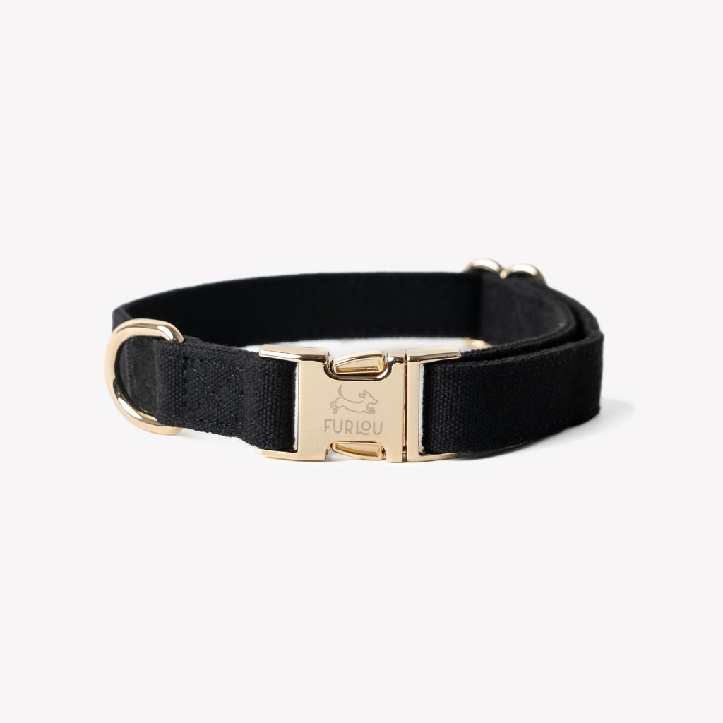 'Black' - Canvas Dog Collar | Purrfect Pet Kingdom