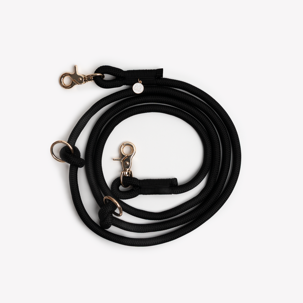 'Black' - Hands Free Braided Leash | Purrfect Pet Kingdom
