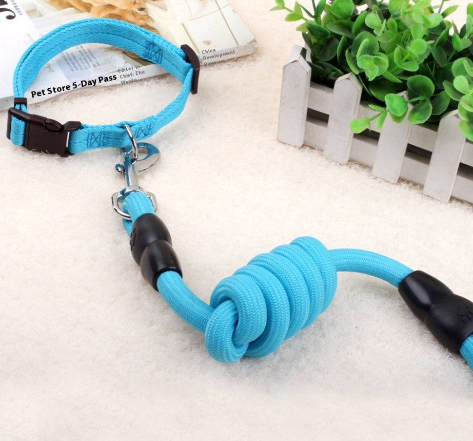 Dog Collar and Leash Set Heavy Duty Stainless Steel Metal Chain - Detail Angle 7 | Majestic Pet Kingdom