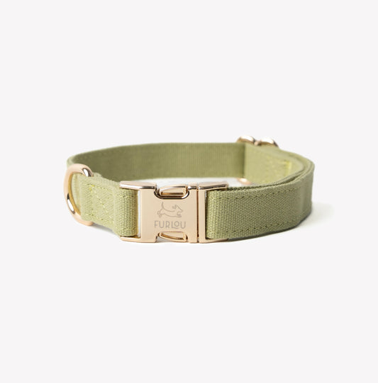 'Green' - Canvas Dog Collar. | Purrfect Pet Kingdom