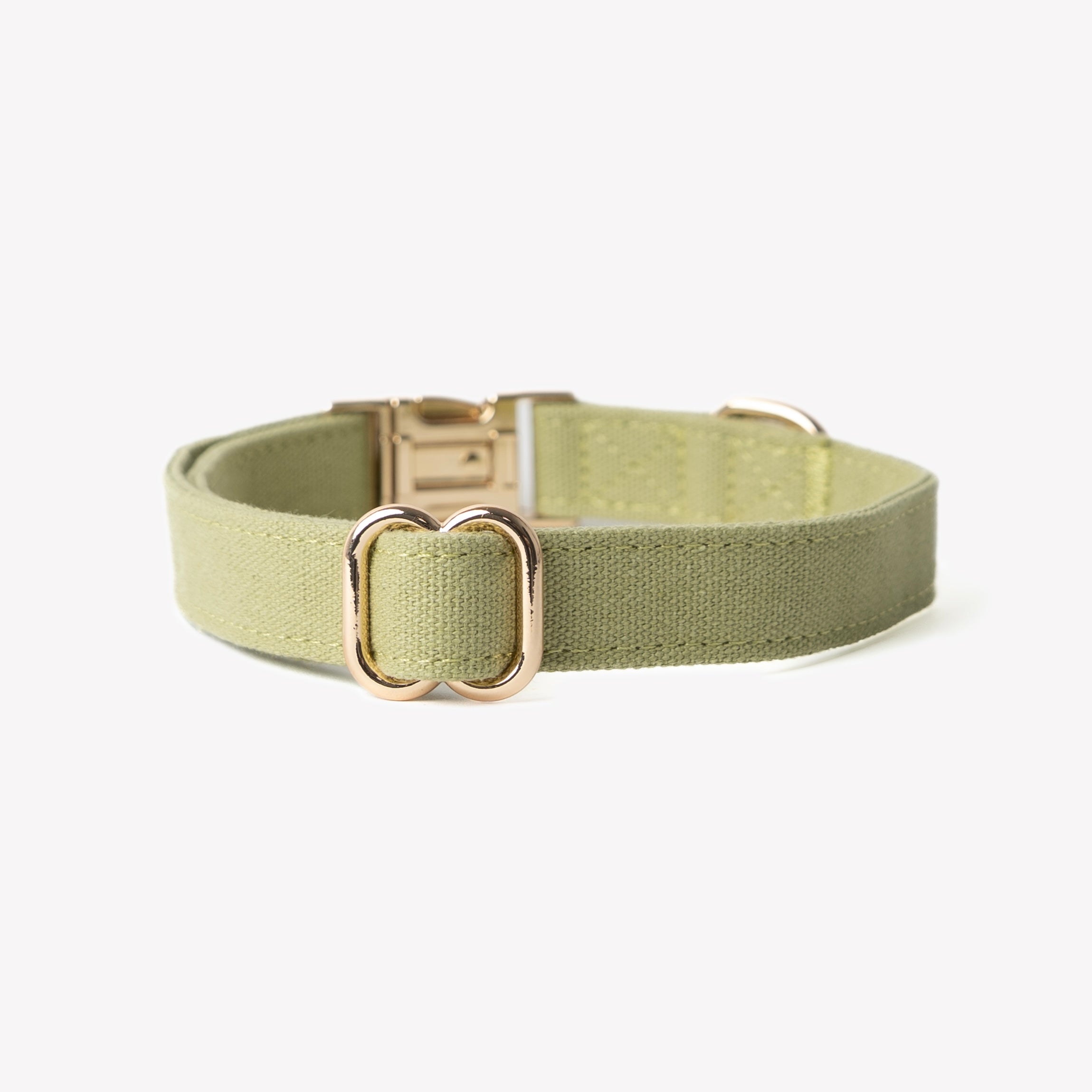 'Green' - Canvas Dog Collar.