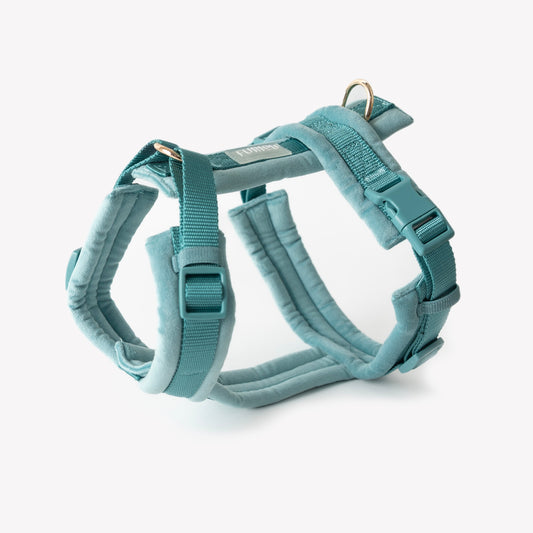 Blue - Velvet Dog Harness | Purrfect Pet Kingdom
