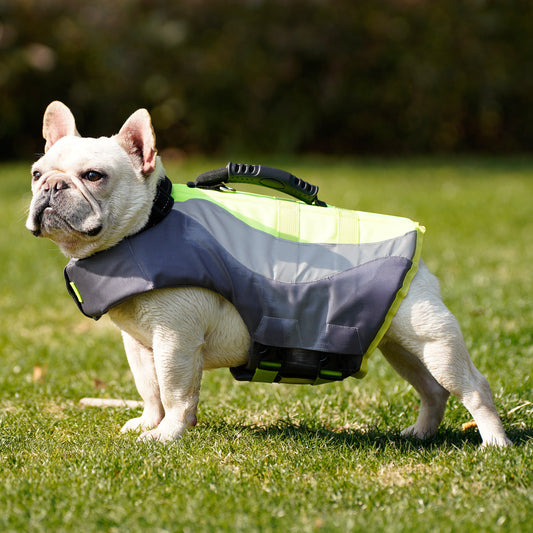 New Reflective Pet Dog Swimsuit Life Jacket - Majestic Pet Kingdom