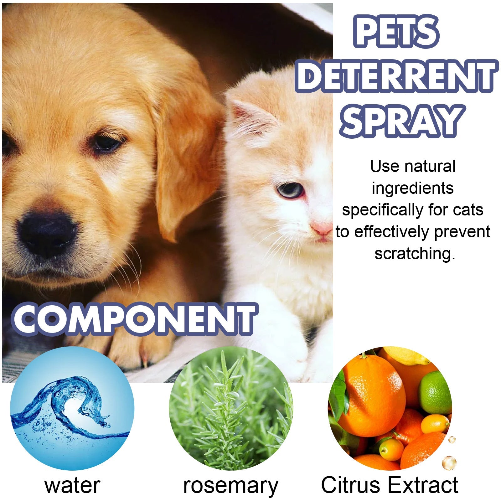 Pet Anti-Scratch Spray Exclusion Zone Set Up Spray Cat And Dog Scratching Door Sofa Anti-Scratch Solution - Majestic Pet Kingdom