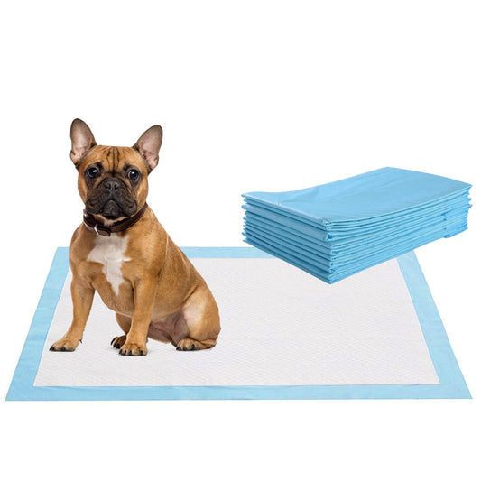 Dog Pee Pads 30x30 Extra Large Absorbent Training Mats 150ct - Main Feature View | Majestic Pet Kingdom