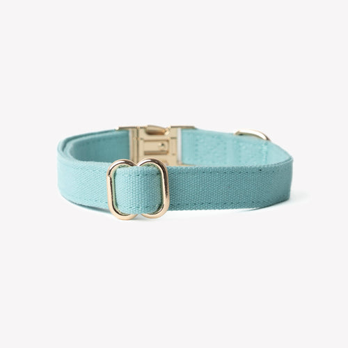 'Blue' - Canvas Dog Collar | Purrfect Pet Kingdom