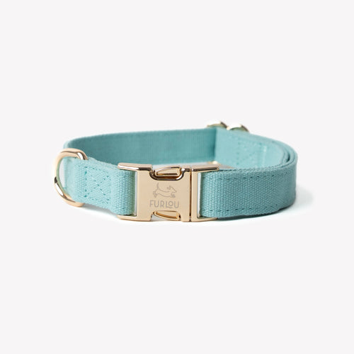 'Blue' - Canvas Dog Collar | Purrfect Pet Kingdom