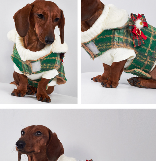 Pet Product - Premium Pet Accessory