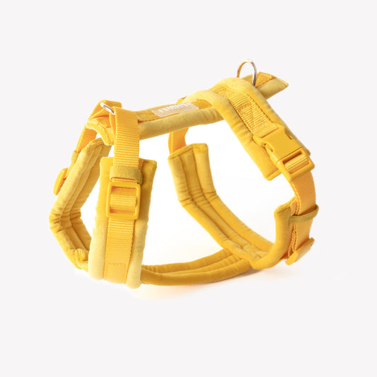 Yellow - Velvet Dog Harness | Purrfect Pet Kingdom