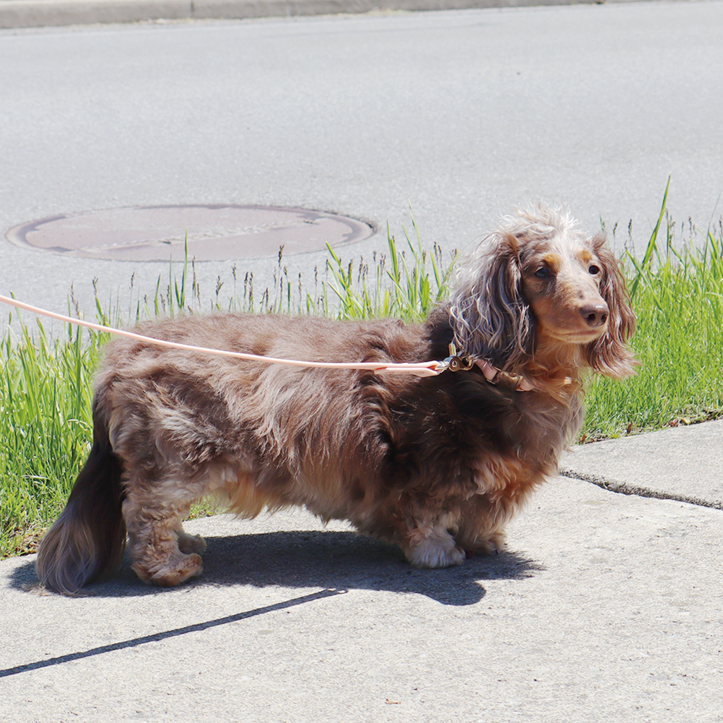 Waterproof Dog Leash | Navy