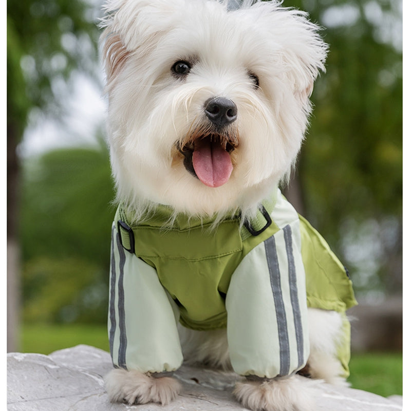 Autumn And Winter Dog, Small And Medium-sized Dog Teddy Outdoor Windproof, Waterproof, Three-proof Raincoat, Four-legged Cotton Coat, Pet Clothing | Purrfect Pet Kingdom