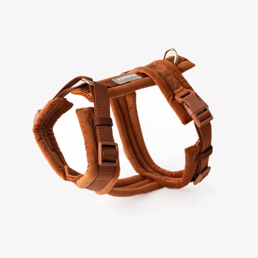 Clay - Velvet Dog Harness | Purrfect Pet Kingdom