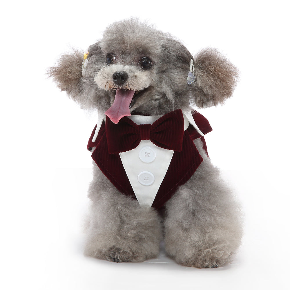 Pet Supplies Clothing Dog Dress Tuxedo - Majestic Pet Kingdom