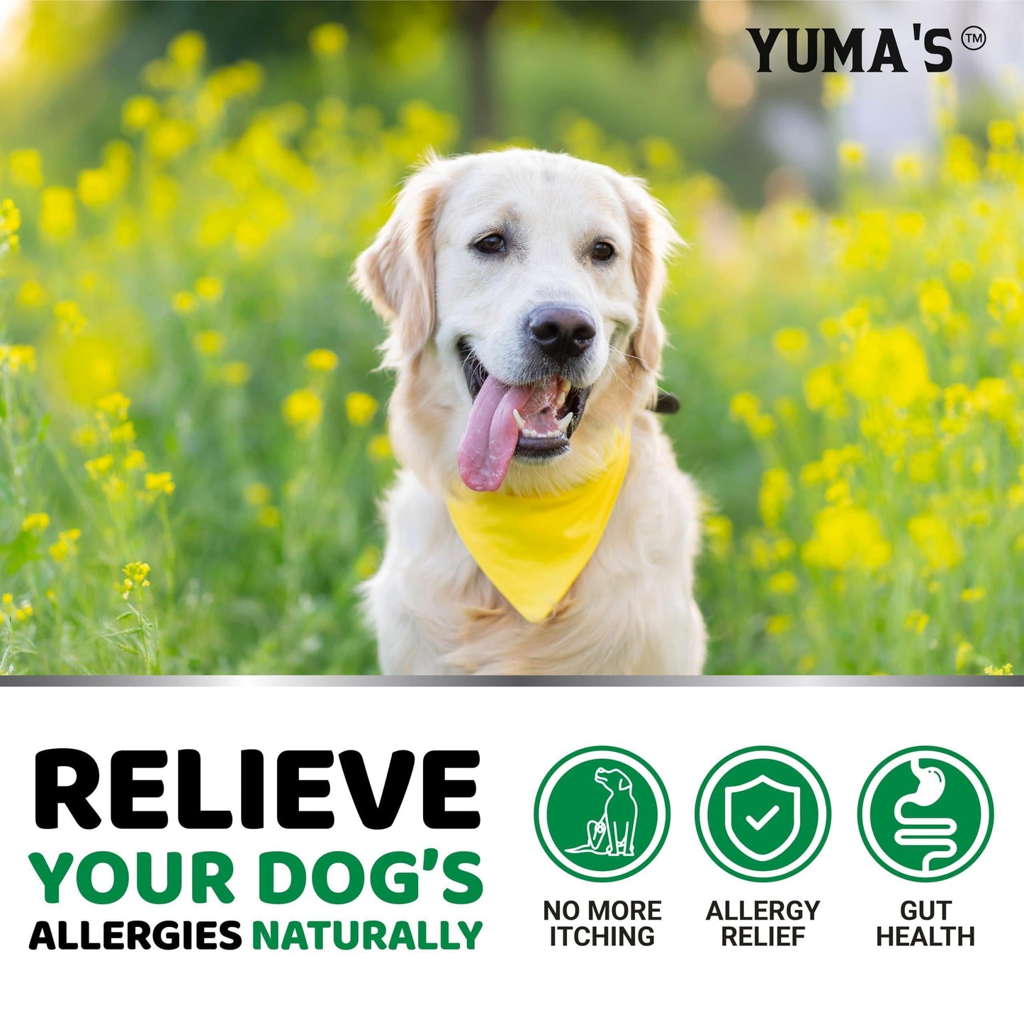 Dog Allergy Relief Chews - Itchy Skin Care 170 Count