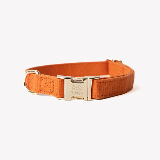 'Terracotta' - Canvas Dog Collar | Purrfect Pet Kingdom