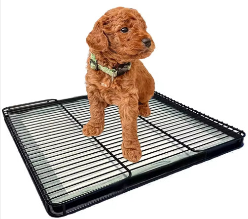 Dog Potty Tray Mesh Training Toilet Pad Holder for Small Dogs - Detail Angle 2 | Majestic Pet Kingdom