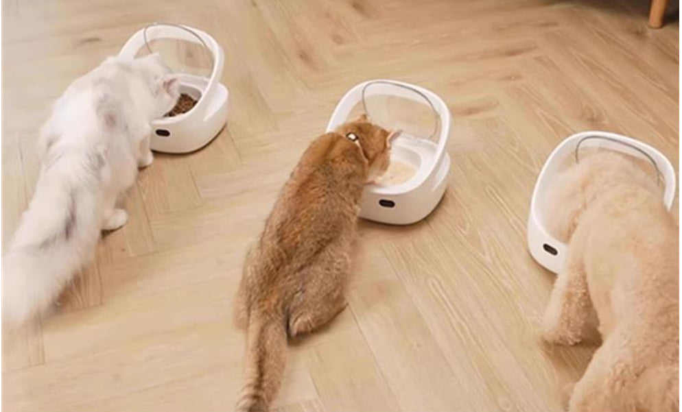 Smart Pet Feeder Prevent Stealing Accurate - Majestic Pet Kingdom