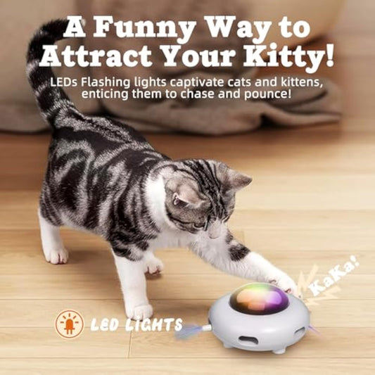 Interactive Cat Toys For Indoor Cats Automatic Kitten Toys Moving Feather Kicker Exercise Hair Removal Toy USB Rechargeable | Purrfect Pet Kingdom