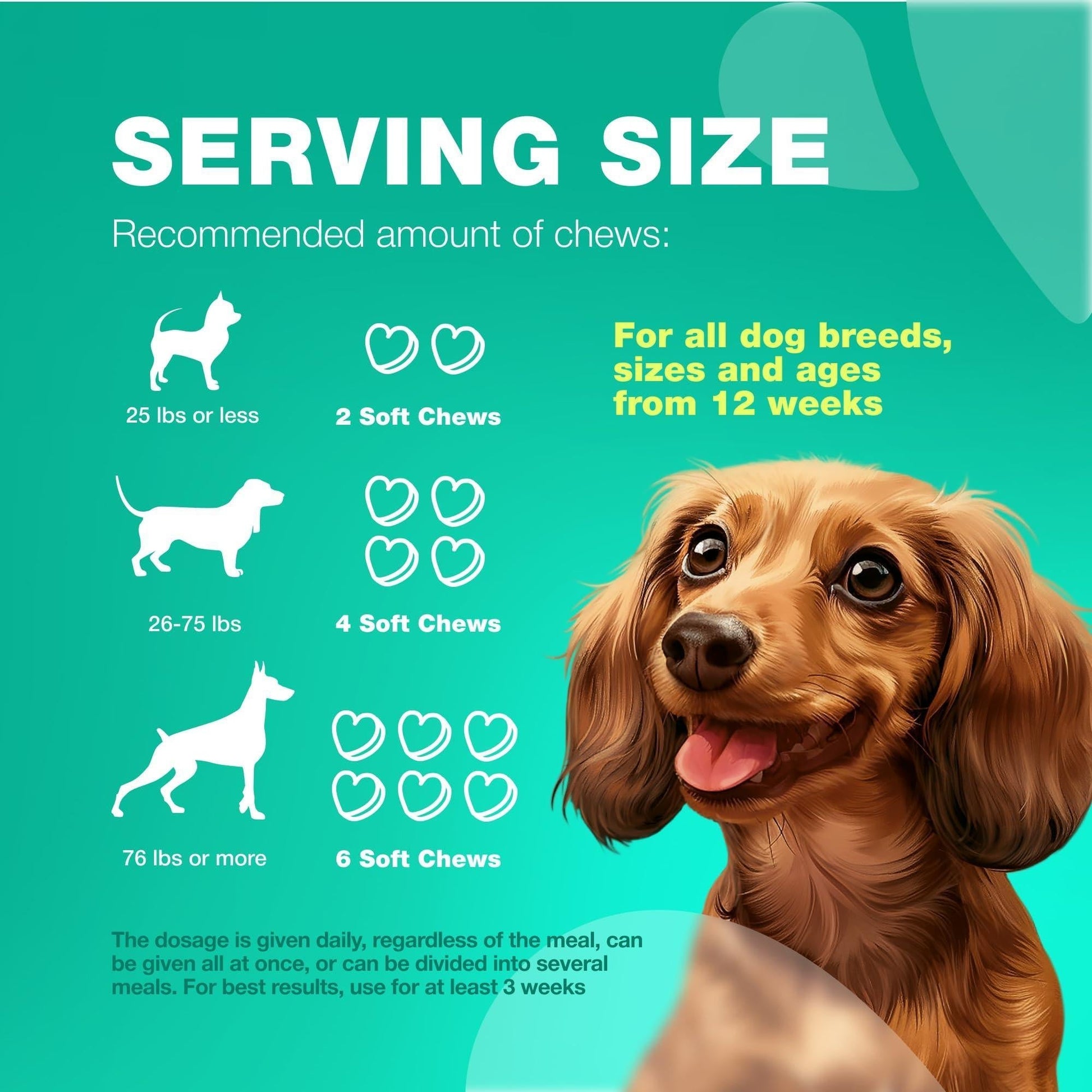 Dog Probiotics Digestive Enzymes Pumpkin Powder Gut Health - Detail Angle 6 | Majestic Pet Kingdom
