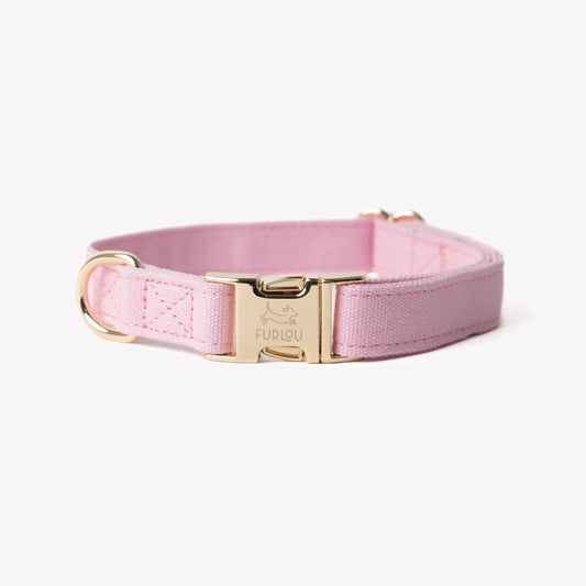 'Pink' - Canvas Dog Collar | Purrfect Pet Kingdom