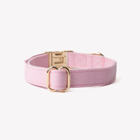 'Pink' - Canvas Dog Collar | Purrfect Pet Kingdom