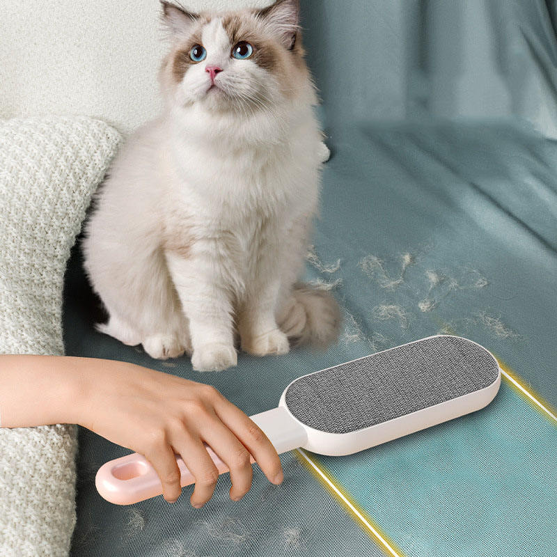 Double-Sided Reusable Pet Hair Remover Lint Brush
