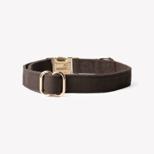 'Brown' - Canvas Dog Collar | Purrfect Pet Kingdom