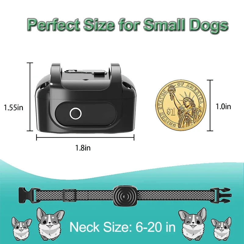 Anti-Barking Collar: Ultrasonic USB Training Device - Majestic Pet Kingdom