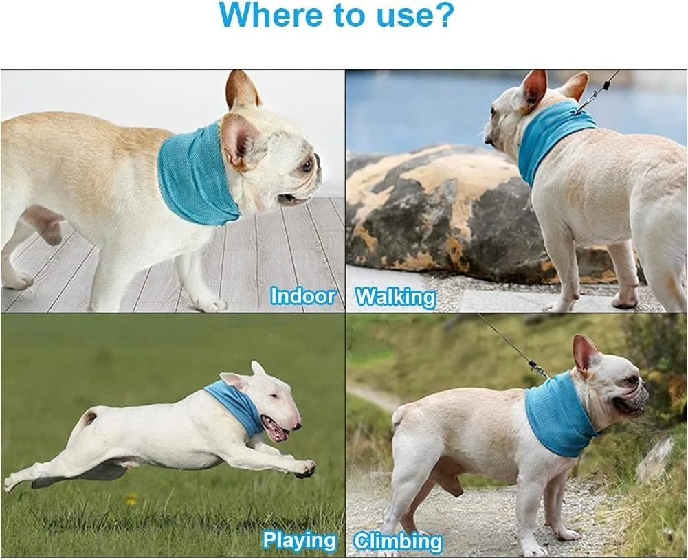 Dog Cooling Bandana: Ice Pet Collar for Hiking & Travel