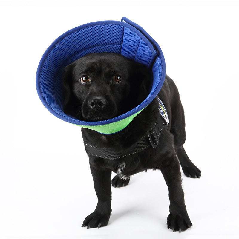 Dog Cat Anti-bite Collar Pet Medical Recovery Collars Transparent Pets | Majestic Pet Kingdom™