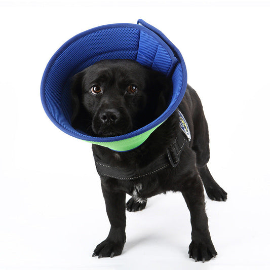 Dog Cat Anti-bite Collar Pet Medical Recovery Collars Transparent Pets | Majestic Pet Kingdom™