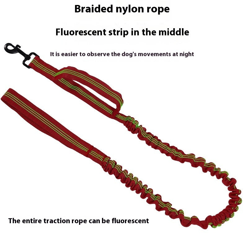 Dog Leash Retractable Elastic Bungee Reflective Lead Strap