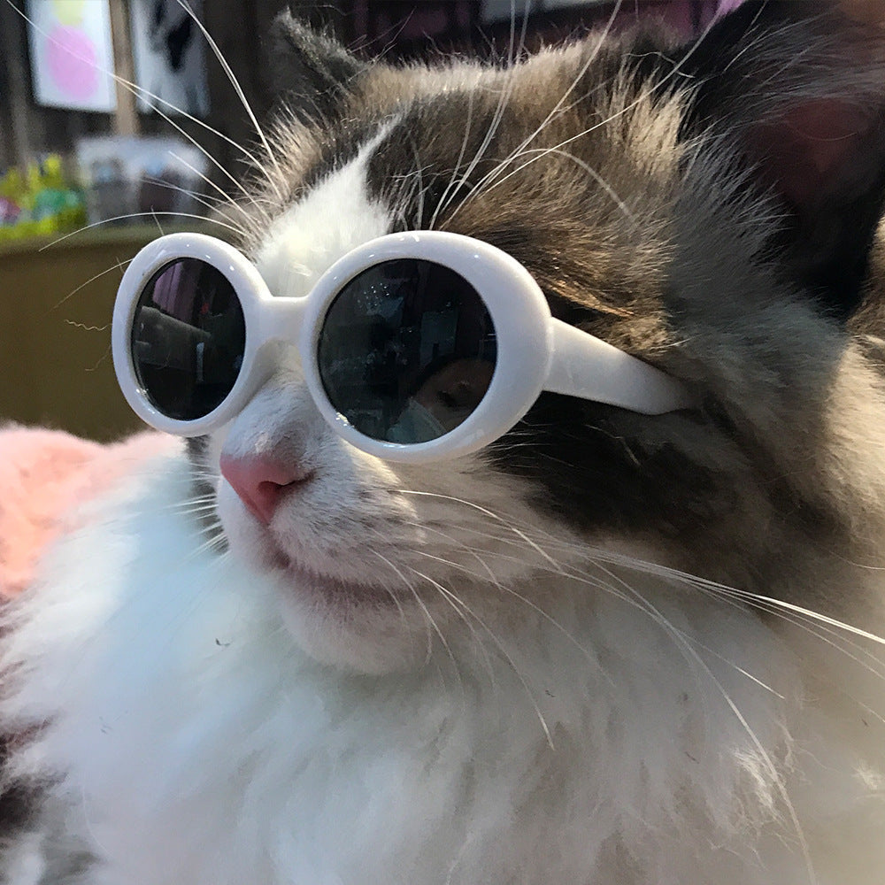 Pet Dog Cat Multi-color Sunglasses Cool Handsome Accessories Pet | Majestic Pet Kingdom™