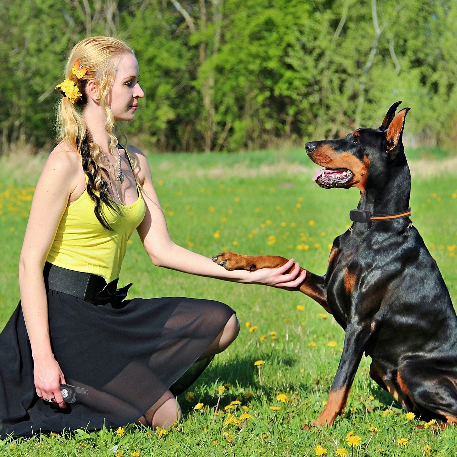 984FT Dog Training Collar IP65 Waterproof Pet Beep Vibration Electric Shock Collar 3 Channels Rechargeable Transmitter Receiver Trainer with Recording - Majestic Pet Kingdom