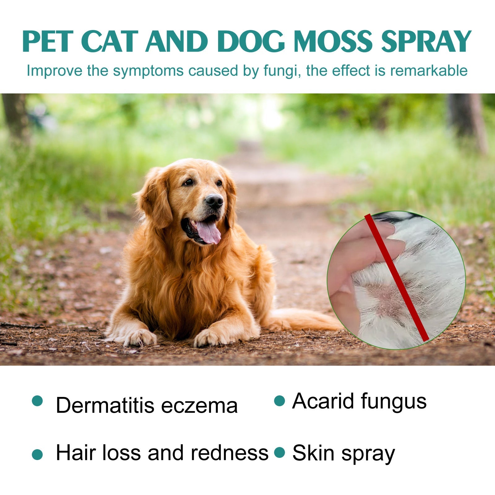Pet Skin Care Spray: Mite Relief & Anti-Itch Treatment