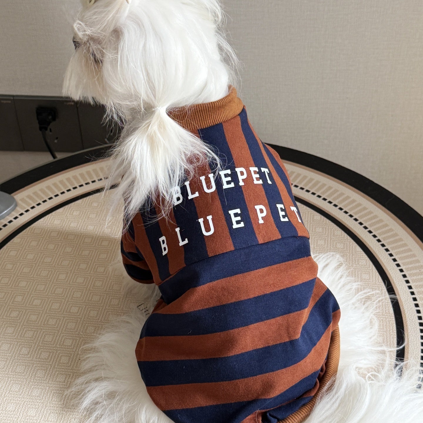 Outdoor Summer Thin Striped Shirt For Dogs - Premium Pet Accessory