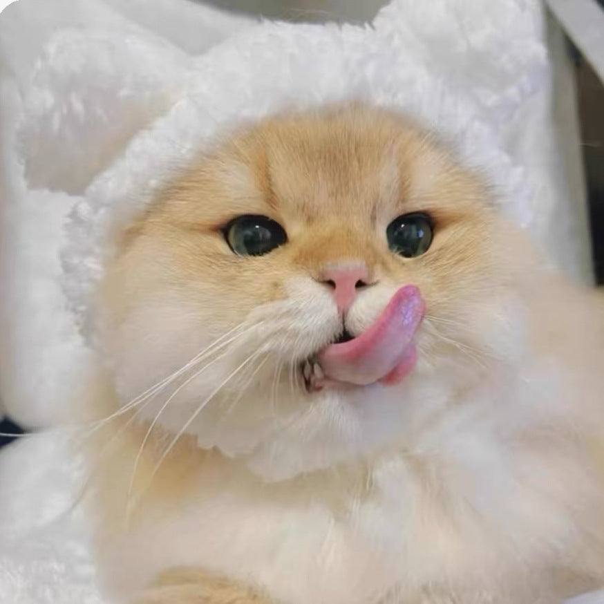Cute Casual Winter Pet Hooded Hat