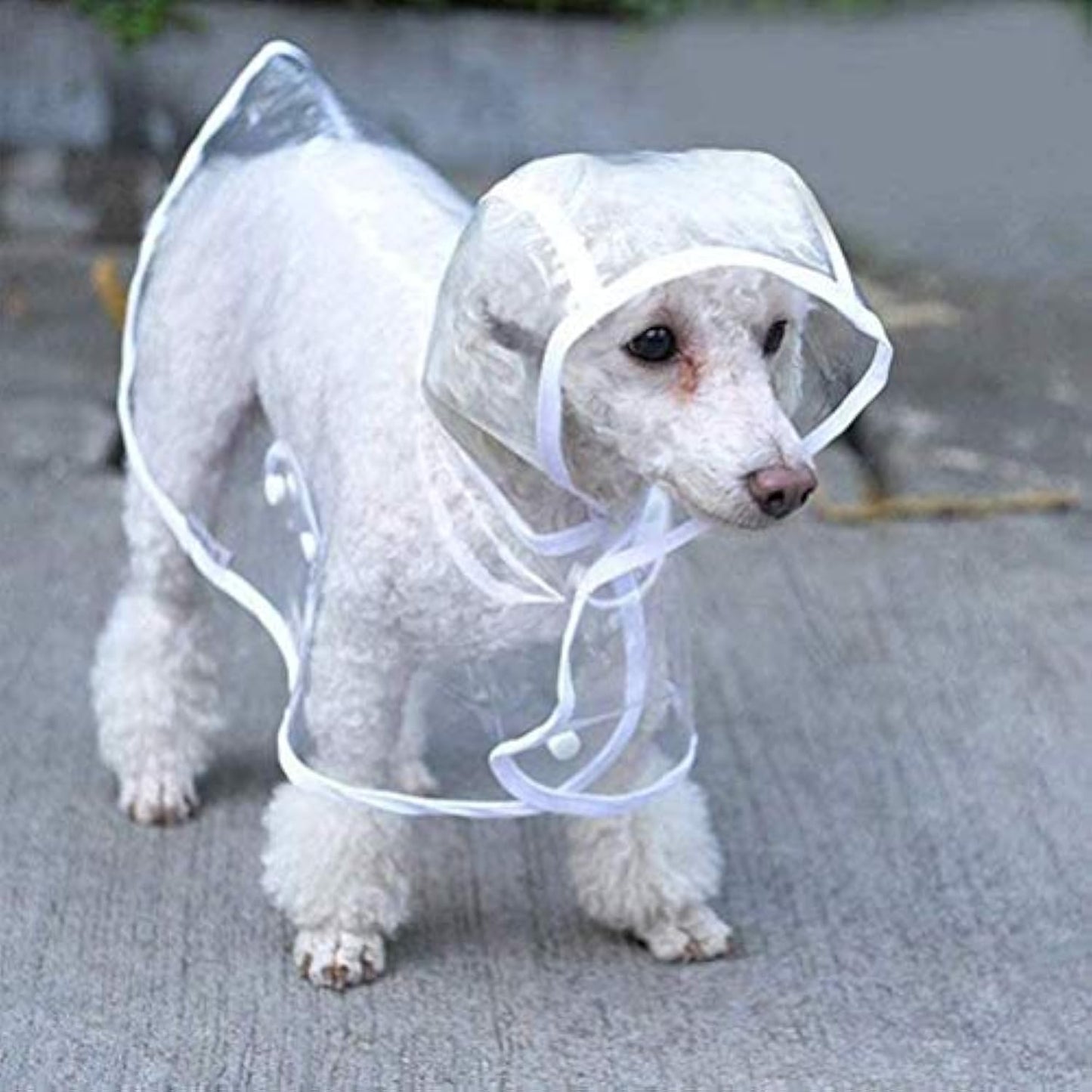 Dog Raincoat Clear Waterproof Hooded Jacket Small Medium