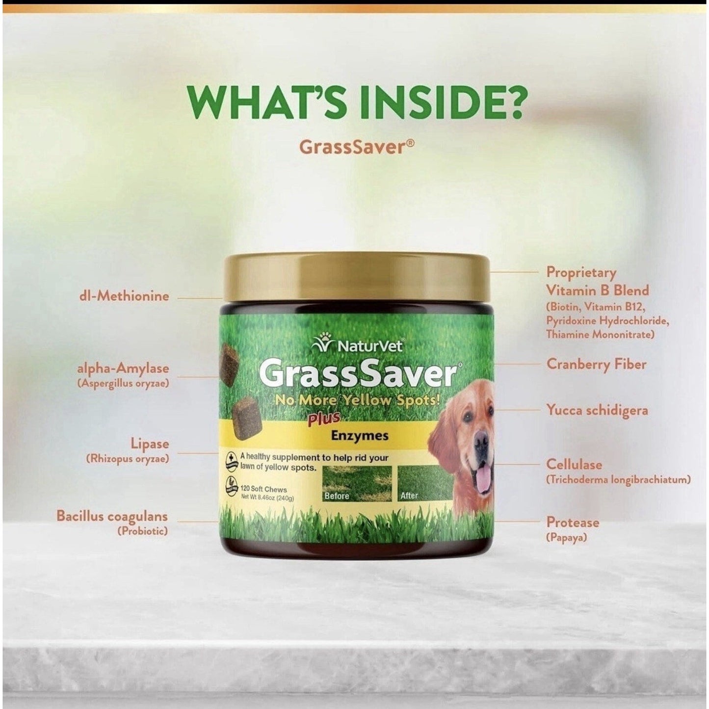 Dog Urine Neutralizer NaturVet GrassSaver Chews 120ct Case of 12 - Detail Angle 6 | Majestic Pet Kingdom