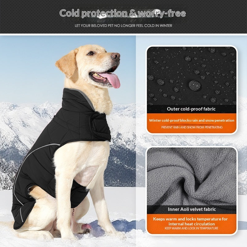Pet Product - Premium Pet Accessory
