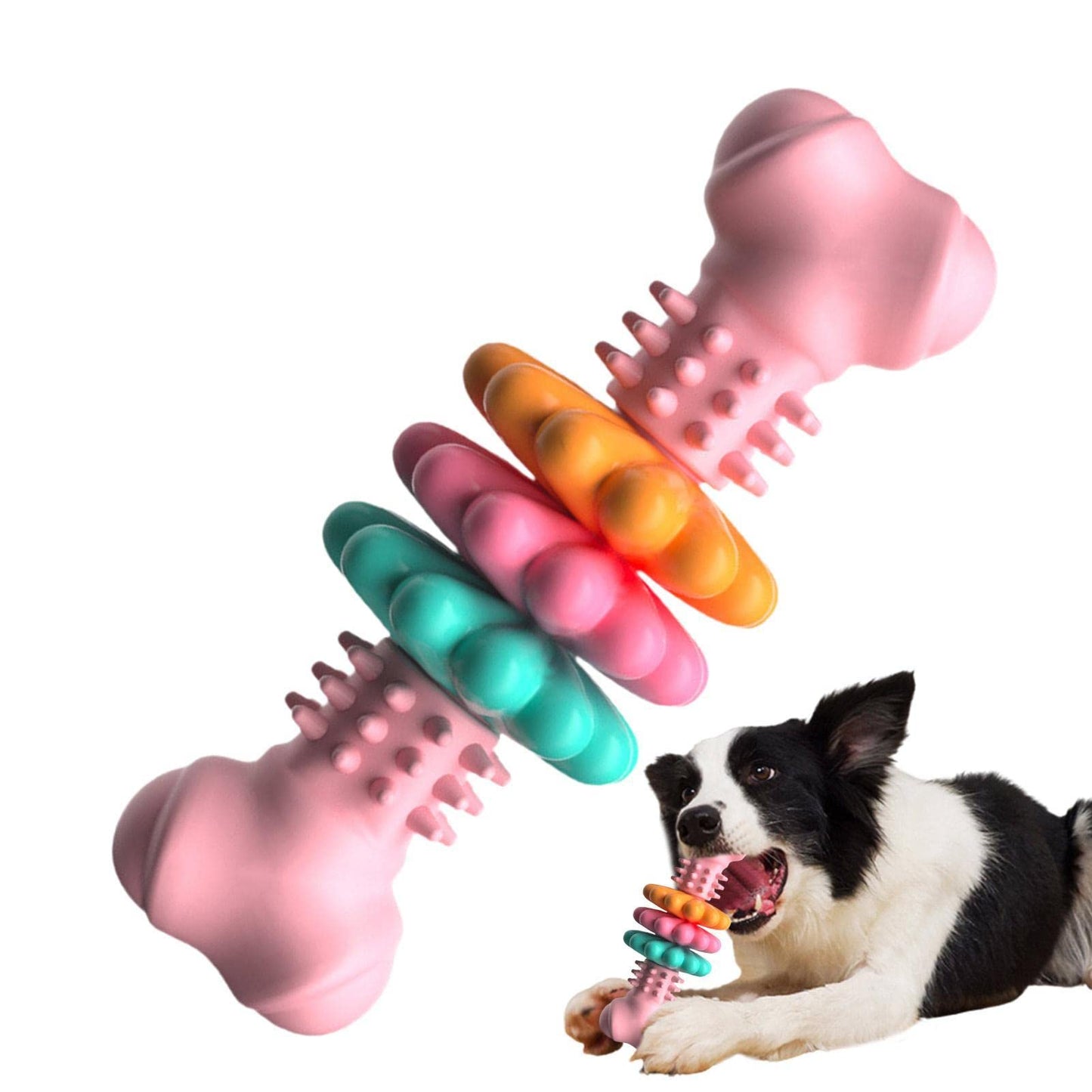 Dog Chew Toy TPR Rubber Bone Indestructible Dental Teething Play - Detail Angle 5 | Majestic Pet Kingdom