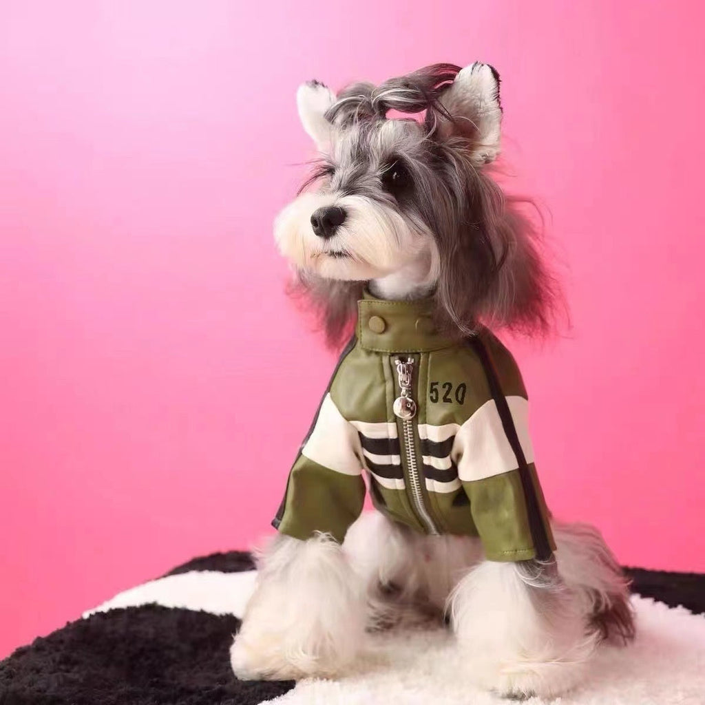 Dog Autumnwinter Clothing Motorcycle Jacket Coat - Majestic Pet Kingdom