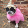 Haute Couture Feathered Luxury Pet Sweater - Majestic Pet Kingdom