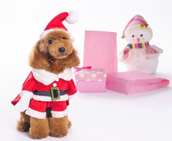 Dog Clothes Christmas Sweatshirt Clothes - Majestic Pet Kingdom