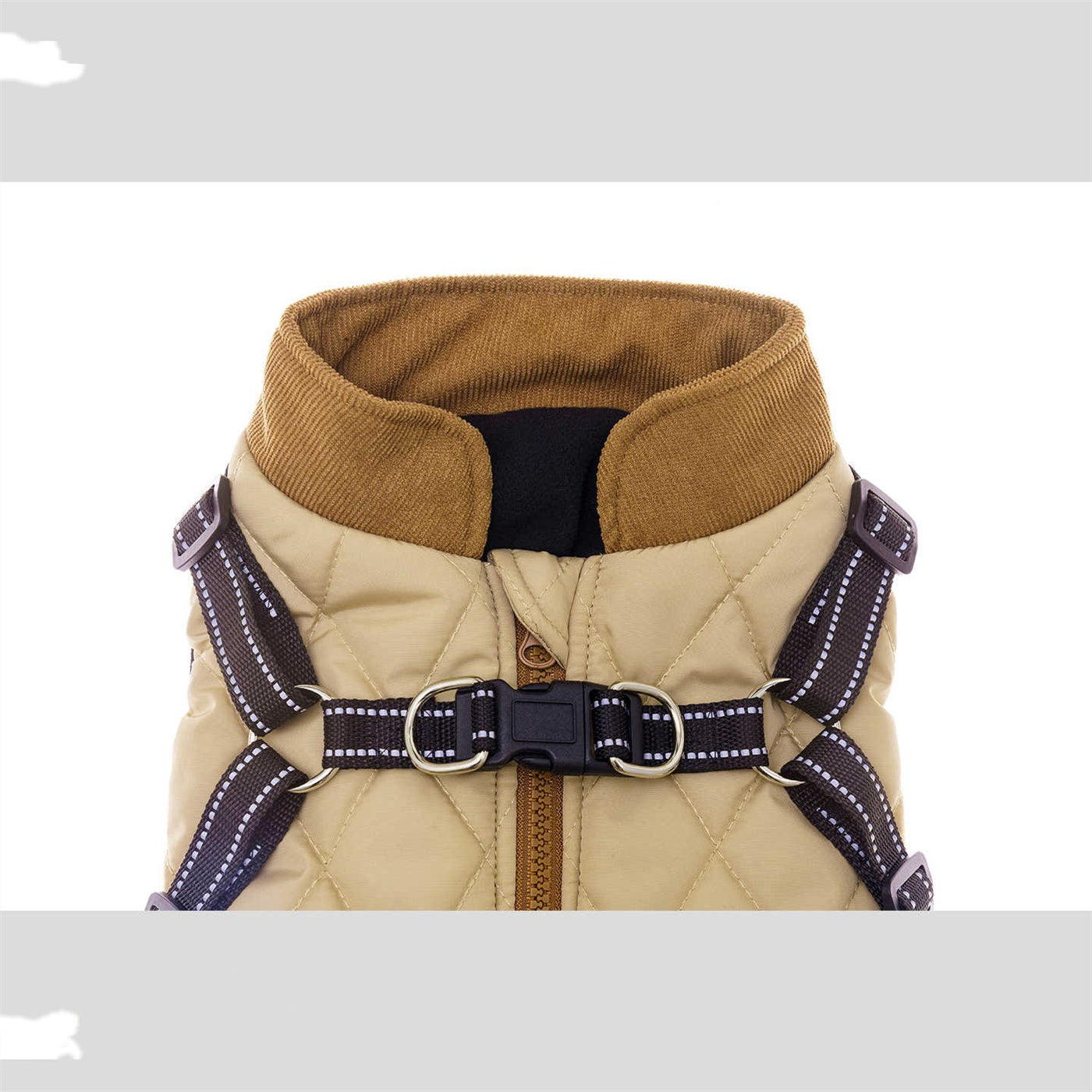 Pet Product - Premium Pet Accessory