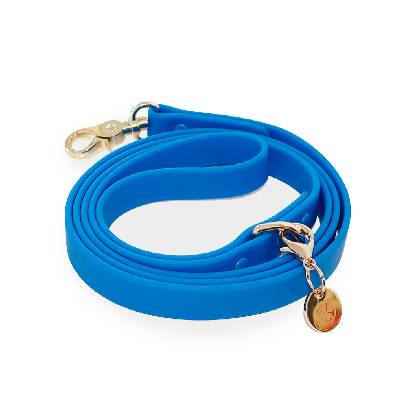 Waterproof Dog Leash for Walking Blue All-Weather Lead Pet
